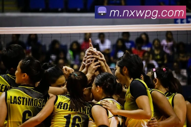 pg电子APP 高清赛事图